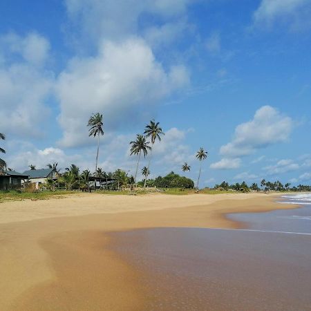 Afro Beach Eco Resort Butre المظهر الخارجي الصورة