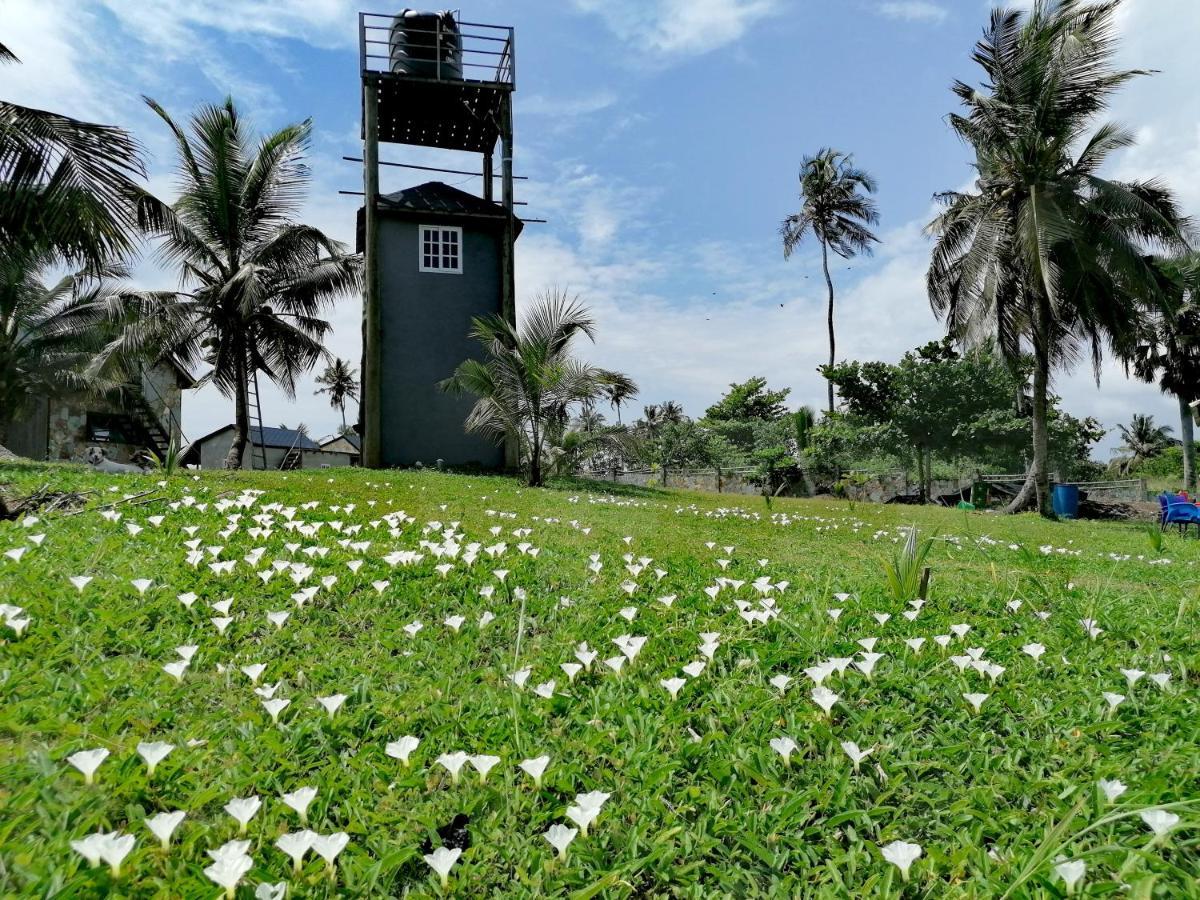 Afro Beach Eco Resort Butre المظهر الخارجي الصورة