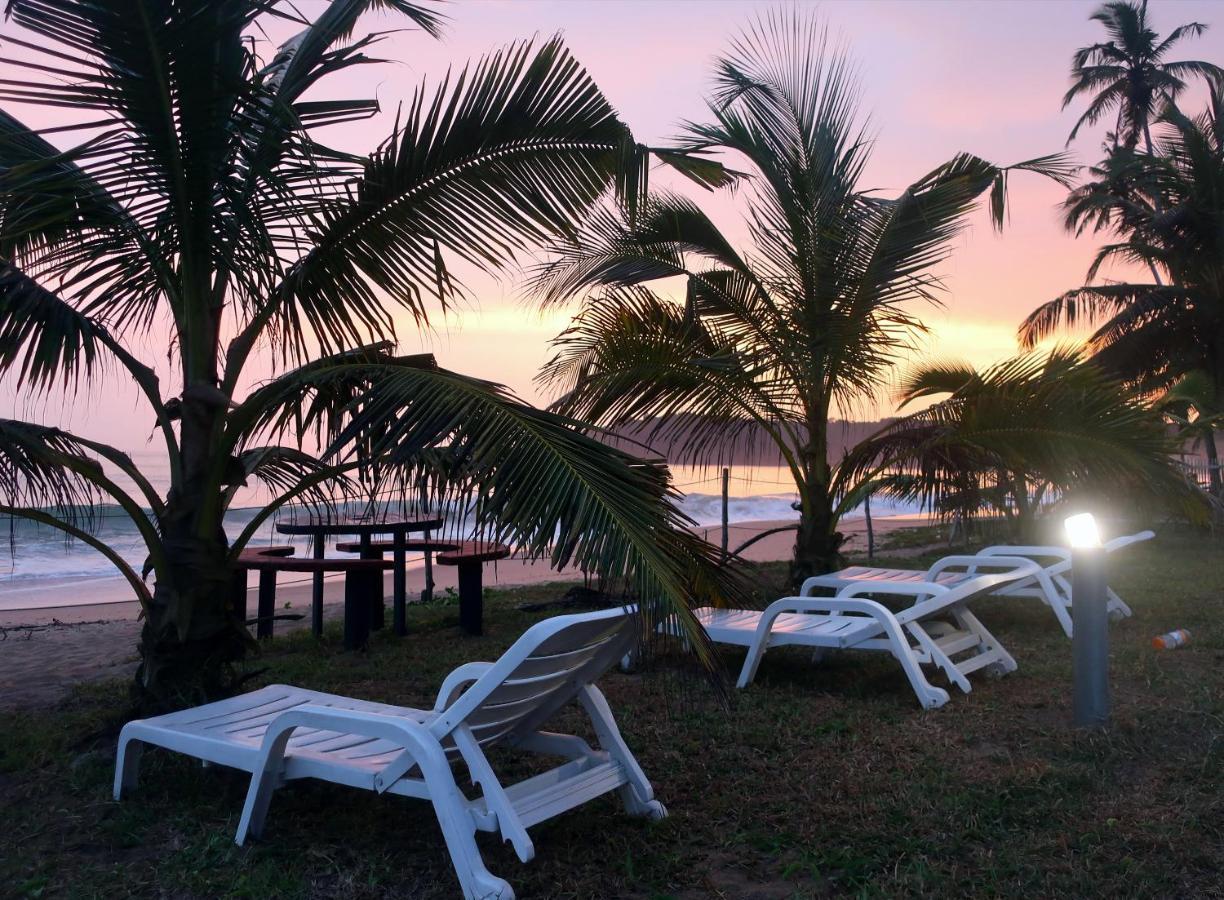 Afro Beach Eco Resort Butre المظهر الخارجي الصورة