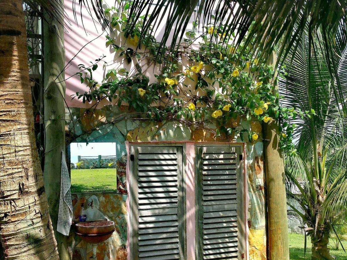 Afro Beach Eco Resort Butre المظهر الخارجي الصورة
