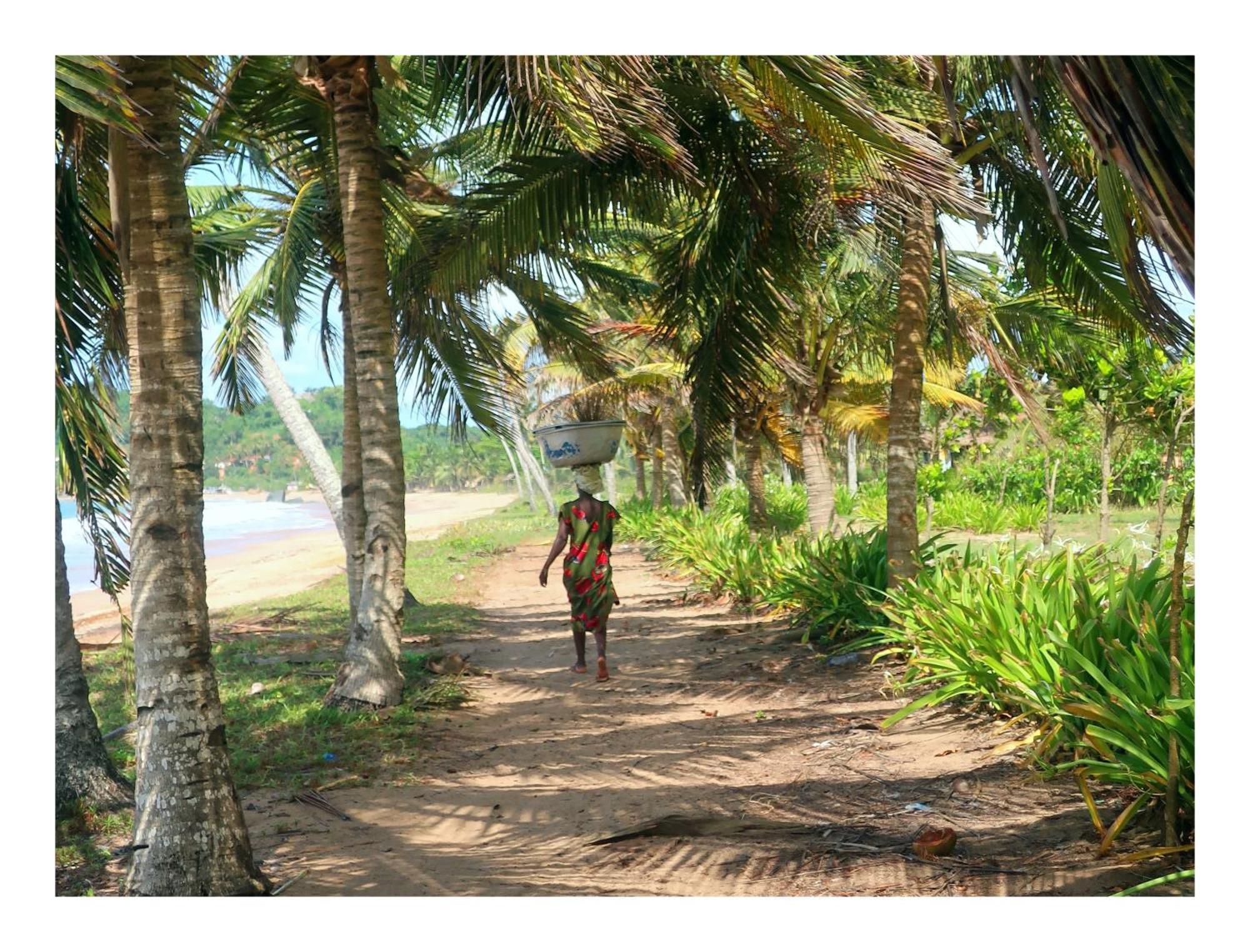 Afro Beach Eco Resort Butre المظهر الخارجي الصورة