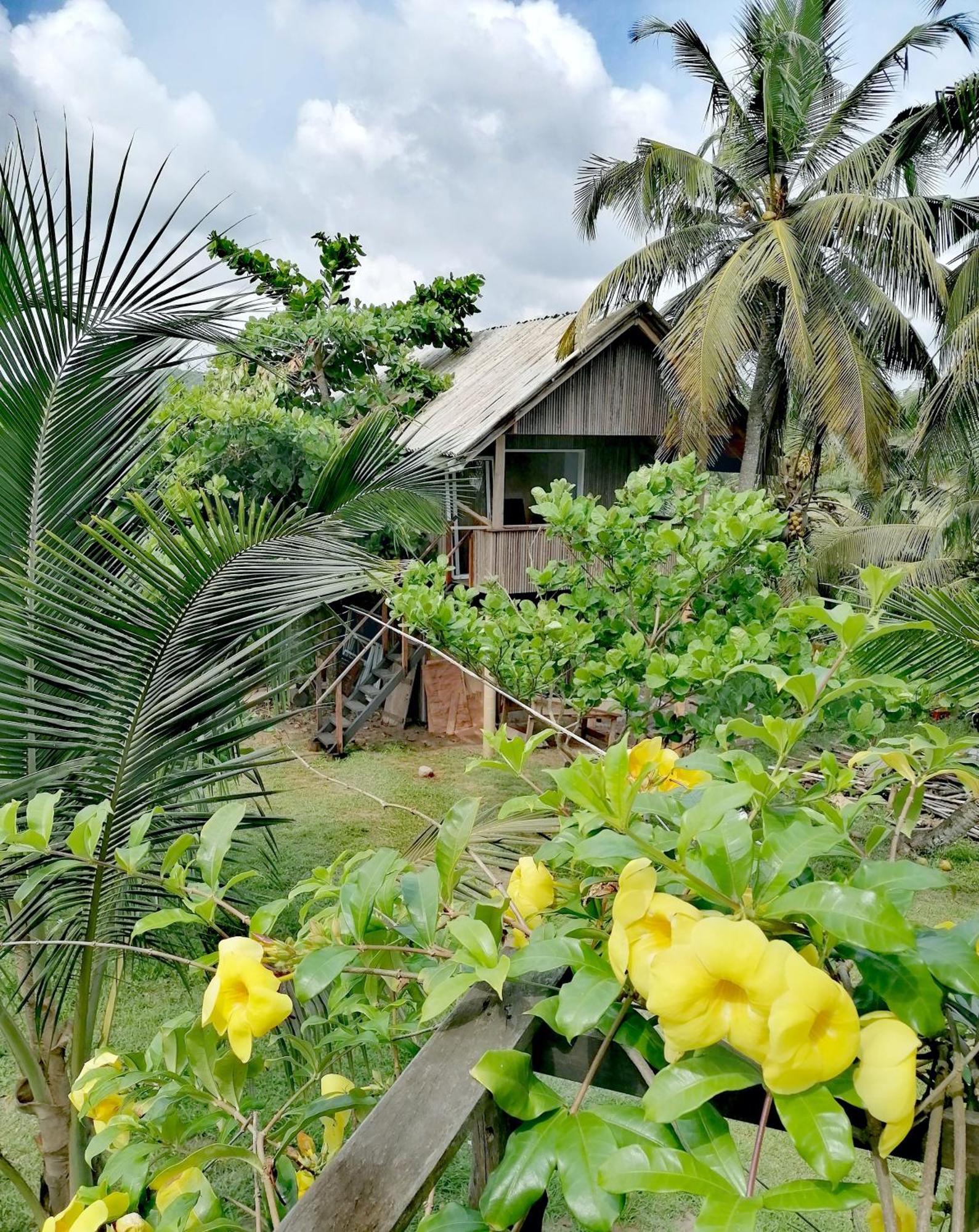Afro Beach Eco Resort Butre الغرفة الصورة