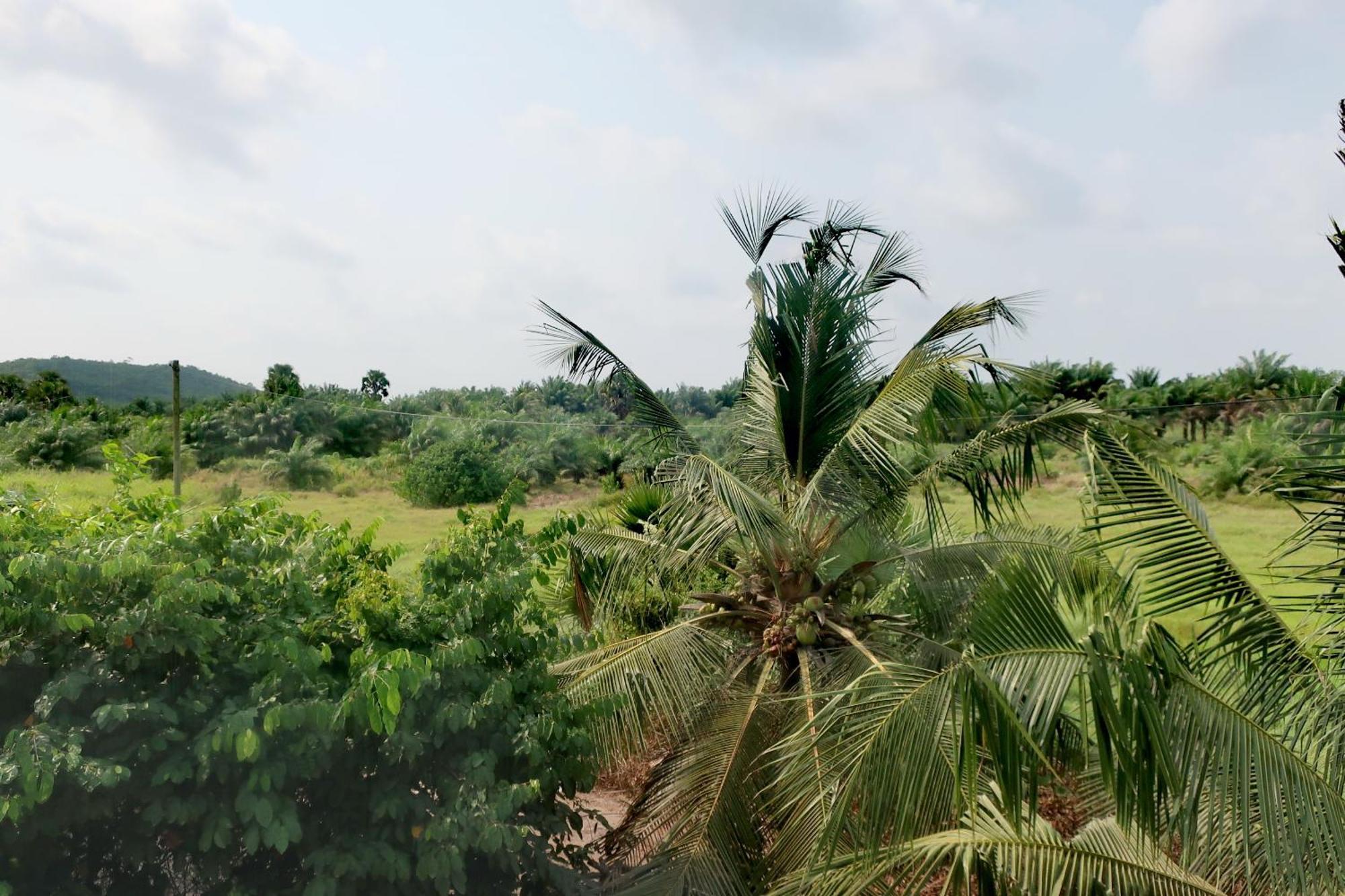 Afro Beach Eco Resort Butre الغرفة الصورة